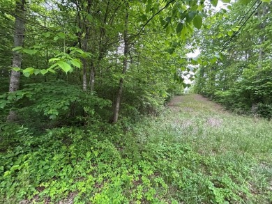 Lake Acreage For Sale in Jamestown, Tennessee