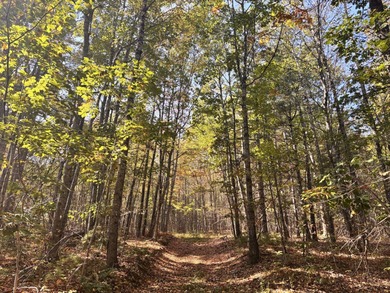 Penobscot River Acreage For Sale in Prospect Maine