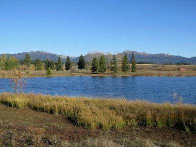 (private lake, pond, creek) Acreage For Sale in Mccall Idaho