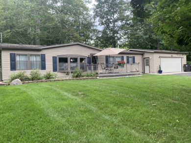 Lake Home For Sale in Lincoln, Michigan