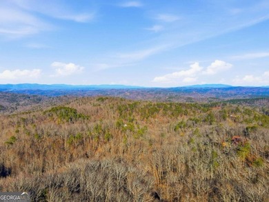New Construction! Amazing Mountain Views! This stunning modern - photo 2