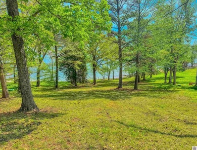 Wake up to breathtaking waterfront views on Kentucky Lake's main - photo 9