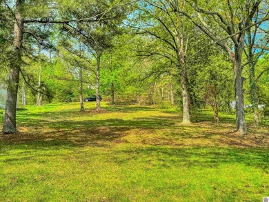 Wake up to breathtaking waterfront views on Kentucky Lake's main - photo 10