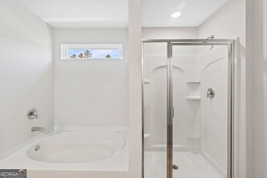 *** For Youtube Video Tour - Type in: Large Family Floor Plan - photo 27