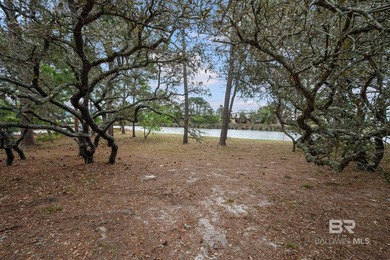 Perched high on one of Gulf Shores' most elevated points, this - photo 30