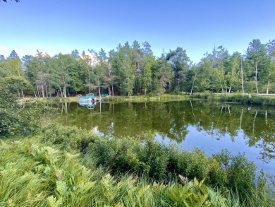 Lake Lot ActiveUnderContr in Johannesburg, Michigan