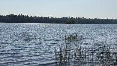 Come build your dream home or camp on this stunning 153-acre lot - photo 2