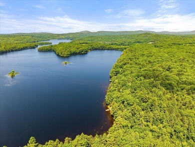 Come build your dream home or camp on this stunning 153-acre lot - photo 6