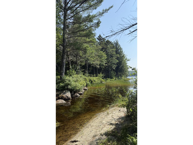 Come build your dream home or camp on this stunning 153-acre lot - photo 7