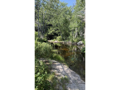 Come build your dream home or camp on this stunning 153-acre lot - photo 8
