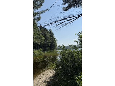 Come build your dream home or camp on this stunning 153-acre lot - photo 9
