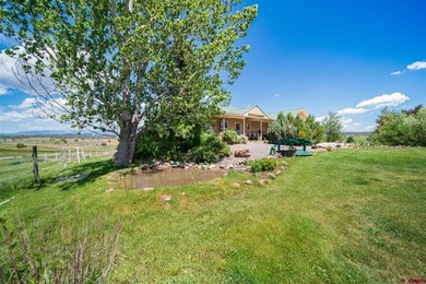 Micah Owen, R1 Colorado, C:,,: Experience the essence of refined - photo 3