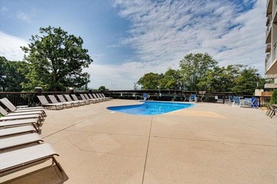 Welcome to Condo 4A at The Pinnacle Condominium Chattanooga - photo 4