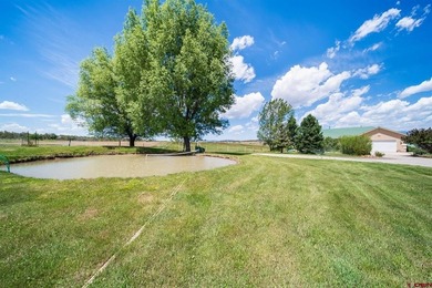 Micah Owen, R1 Colorado, C:,,: Experience the essence of refined - photo 4