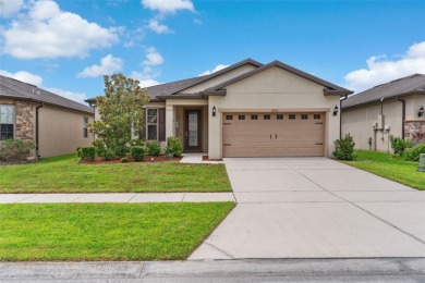 (private lake, pond, creek) Home For Sale in Polk City Florida