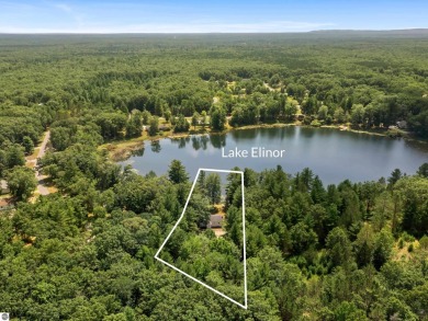 Lake Eleanor Home For Sale in Brethren Michigan