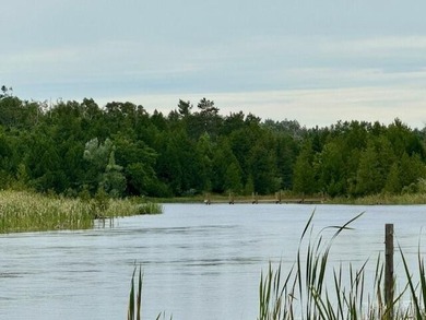 (private lake, pond, creek) Lot For Sale in Cheboygan Michigan