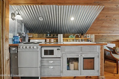 Timeless Charm Meets Modern Living -- Minutes from Downtown Bay - photo 29