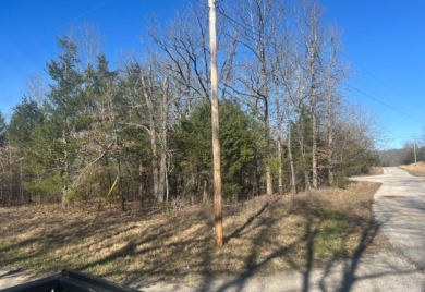 North Lake  Lot For Sale in Horseshoe Bend Arkansas