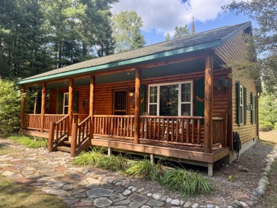 Lake Home ActiveUnderContr in Luzerne, Michigan