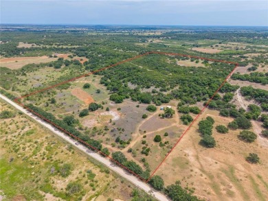 (private lake, pond, creek) Acreage For Sale in Coleman Texas