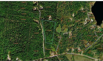 Thickly wooded with a healthy mix of hardwoods and evergreens - photo 11