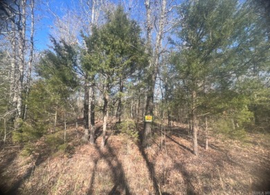 North Lake  Lot For Sale in Horseshoe Bend Arkansas
