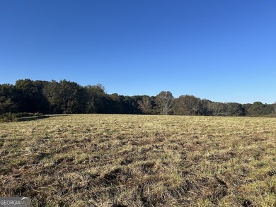 (private lake, pond, coastal) Acreage For Sale in Bowdon Georgia