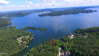Watts Bar Lake Lot For Sale in Rockwood Tennessee