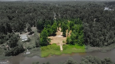 Lake Lot For Sale in Covington, Georgia