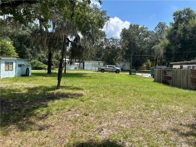 Tsala Apopka Chain of Lakes Lot For Sale in Floral City Florida