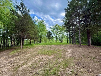 This 18-acre tract of rolling, wooded land just minutes from - photo 6