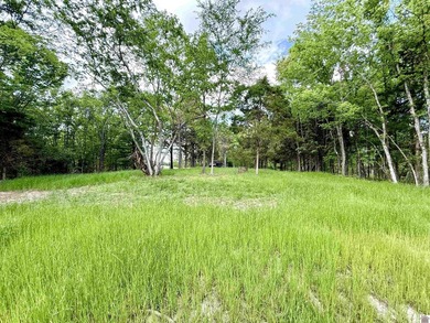 This 18-acre tract of rolling, wooded land just minutes from - photo 7