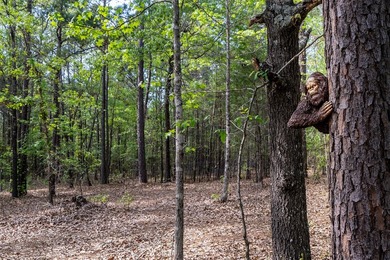 This 100% occupied cabin rental community is located on 8.3 - photo 10