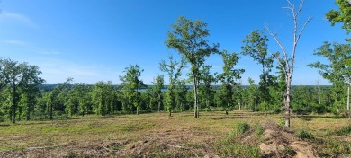 Beaver Fork Lake Acreage For Sale in Conway Arkansas