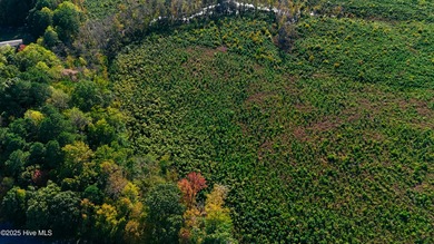 Perquimans River Acreage Sale Pending in Hertford North Carolina