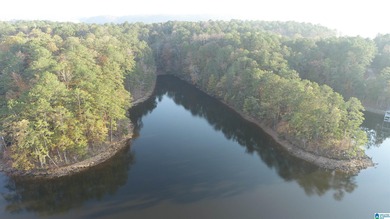 Lake Lot For Sale in Wedowee, Alabama