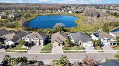 Lake Home Sale Pending in Land O Lakes, Florida