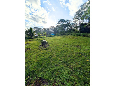PAHOA - 14-3276 Pualaa Street in Kaniahiku Village House Lots - photo 14
