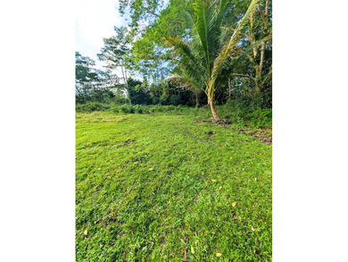 PAHOA - 14-3276 Pualaa Street in Kaniahiku Village House Lots - photo 15
