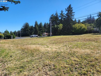 Discover the possibilities with this cleared, level corner lot - photo 4