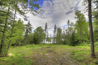CUPSUPTIC LAKE - Build your dream getaway on beautiful Cupsuptic - photo 11