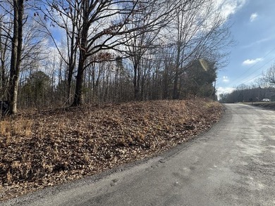 Buildable 3-Lot Combo near Lake Barkley! Semi-Private Corner Lot - photo 1