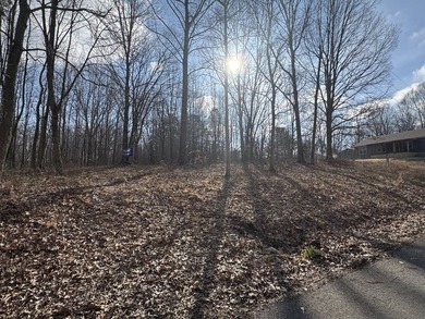 Buildable 3-Lot Combo near Lake Barkley! Semi-Private Corner Lot - photo 2