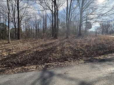 Buildable 3-Lot Combo near Lake Barkley! Semi-Private Corner Lot - photo 3