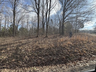 Buildable 3-Lot Combo near Lake Barkley! Semi-Private Corner Lot - photo 4