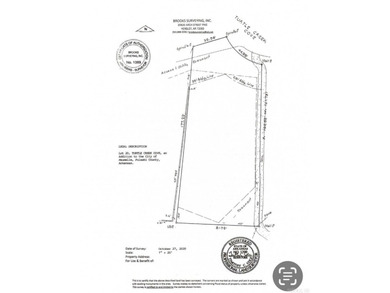 Build your dream home on this beautiful level lot in subdivision - photo 38
