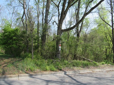 Holston River - Hawkins County Lot For Sale in Kingsport Tennessee