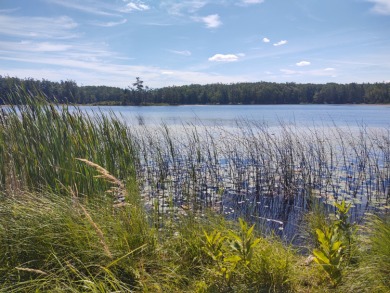 Lake Home For Sale in Atlanta, Michigan