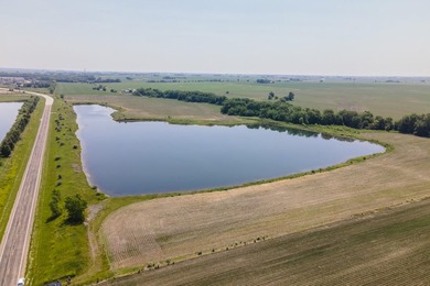 25 acre parcel from the north east quarter of section 8 in Downs - photo 3
